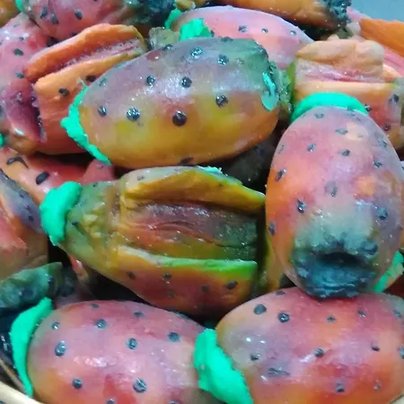 Mariafrancesca Alojamento de Acomodação e Pequeno-almoço Santa Teresa Di Riva